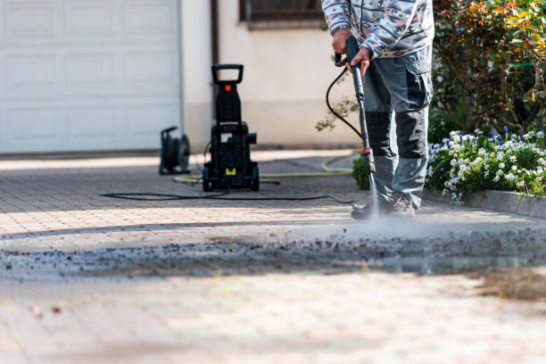 Best Residential Pressure Washing Services  in Waseca, MN