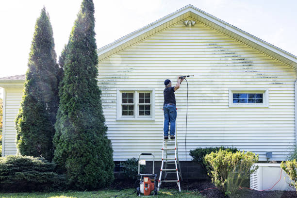 Best Exterior Home Cleaning  in Waseca, MN