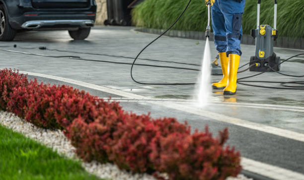 Best Local Pressure Washing Services  in Waseca, MN