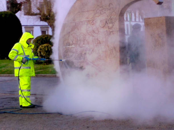 Best Residential Pressure Washing Services  in Waseca, MN