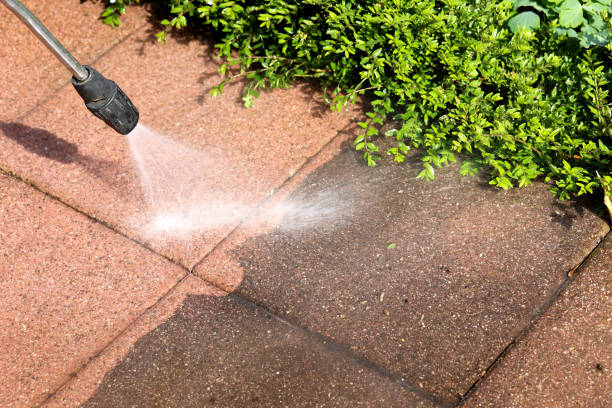 Best Deck Cleaning Services  in Waseca, MN